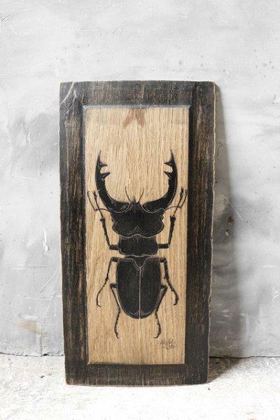 画像1: アンティーク　stag beetle　クワガタ