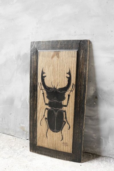 画像1: アンティーク　stag beetle　クワガタ (1)